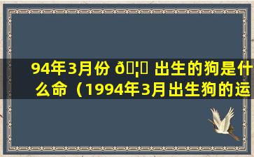 94年3月份 🦅 出生的狗是什么命（1994年3月出生狗的运势好差 🌹 ）